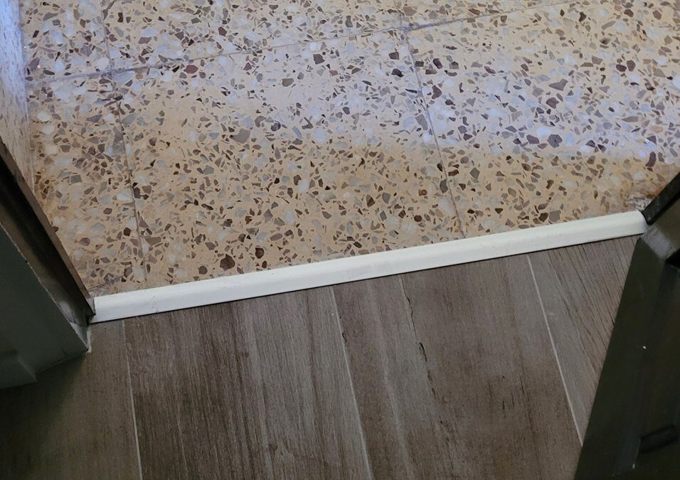 Reforma Integral, 2025, Dénia